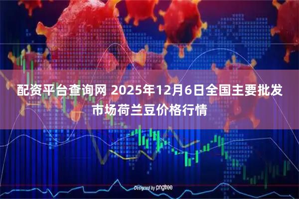 配资平台查询网 2025年12月6日全国主要批发市场荷兰豆价格行情