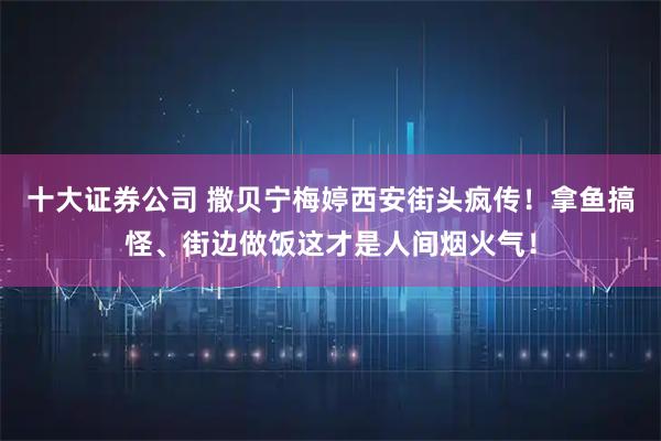 十大证券公司 撒贝宁梅婷西安街头疯传!拿鱼搞怪、街边做饭这才是人间烟火气!