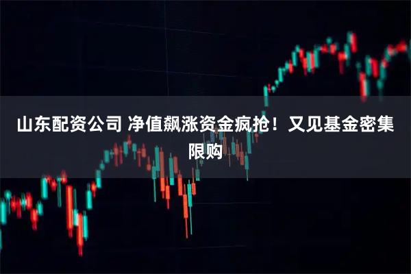 山东配资公司 净值飙涨资金疯抢！又见基金密集限购