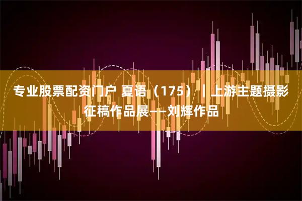 专业股票配资门户 夏语（175）｜上游主题摄影征稿作品展——刘辉作品